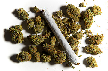 Image showing close up of pot buds and a joint