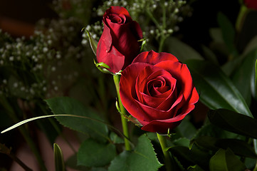 Image showing Deep red roses with baby breath