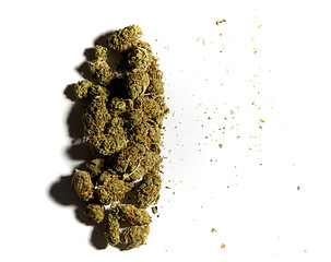 Image showing Medicinal marijuana buds