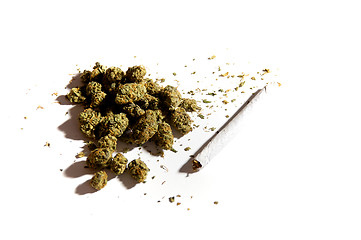 Image showing pot buds and a joint