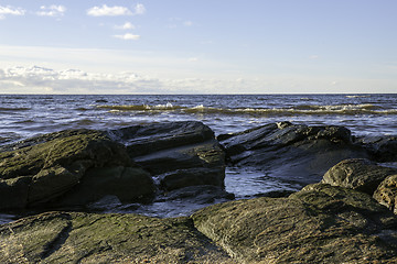 Image showing Beach low view