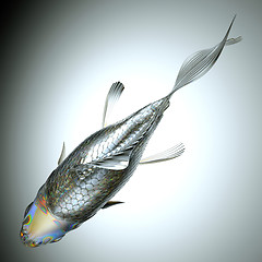 Image showing Top view of glass fish over grey