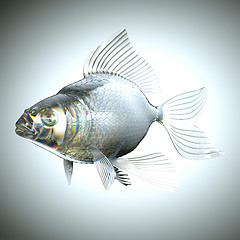 Image showing Glassy fish with scales and fins