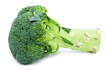 Image showing Broccoli