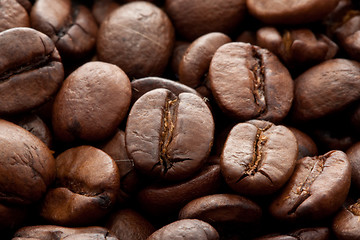 Image showing Coffee beans