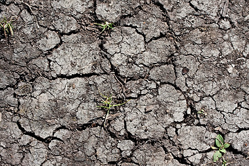 Image showing Dry land