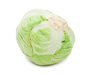 Image showing Cabbage