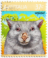 Image showing Wombat Stamp