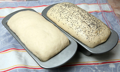 Image showing Bread rising