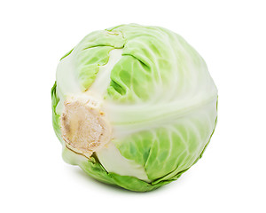 Image showing Cabbage