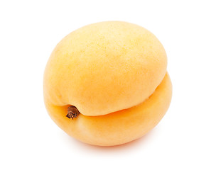 Image showing Apricot