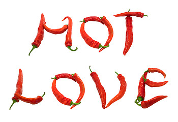 Image showing HOT LOVE text composed of red chili peppers