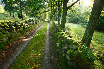 Image showing Nature in south Sweden