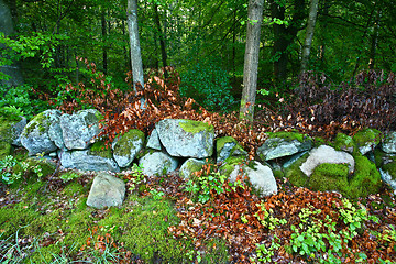 Image showing Nature in south Sweden