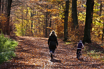 Image showing Autumn forest pople