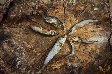 Image showing Small dried fishes forming a star