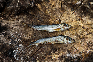Image showing Two small dried fishes on  wood
