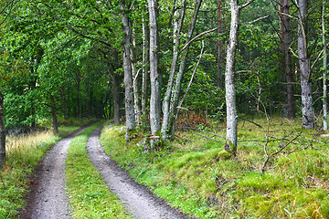 Image showing Nature in south Sweden