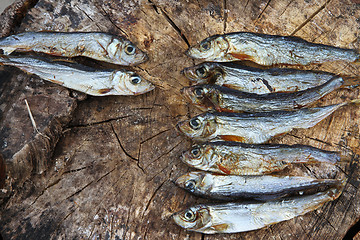 Image showing Dried fish