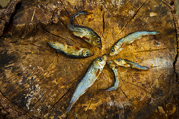 Image showing Small dried fishes forming a star