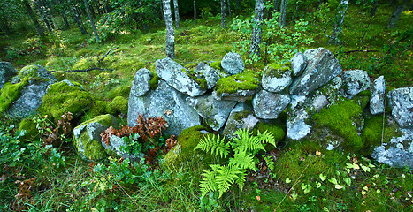 Image showing Nature in south Sweden