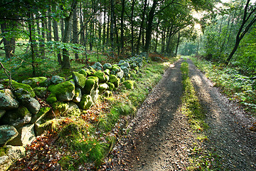 Image showing Nature in south Sweden