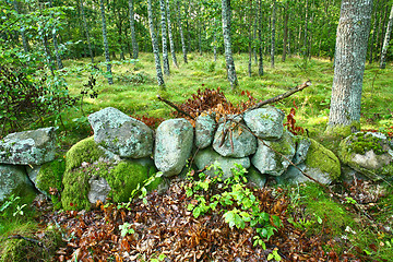 Image showing Nature in south Sweden