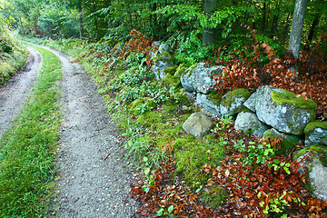 Image showing Nature in south Sweden