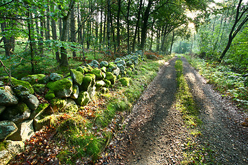 Image showing Nature in south Sweden