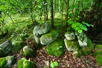 Image showing Nature in south Sweden