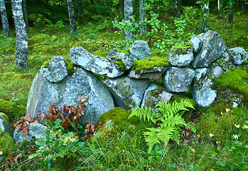 Image showing Nature in south Sweden