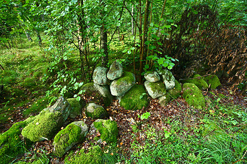 Image showing Nature in south Sweden