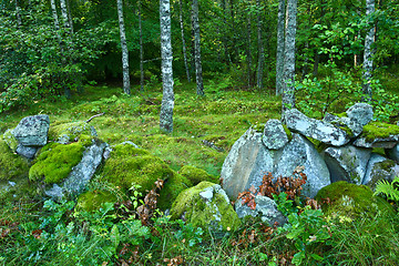 Image showing Nature in south Sweden