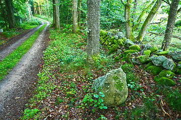 Image showing Nature in south Sweden