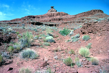 Image showing Mexican Hat