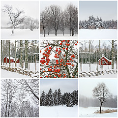 Image showing Winter beauty