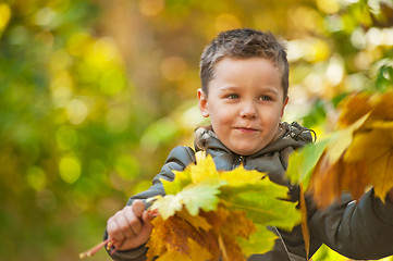 Image showing autumn baby boy