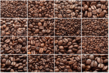 Image showing Coffee beans