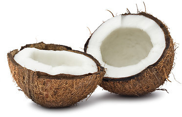 Image showing Coconut