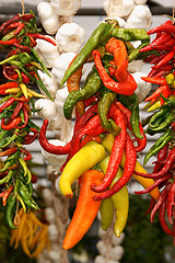 Image showing Chili peppers ang garlic