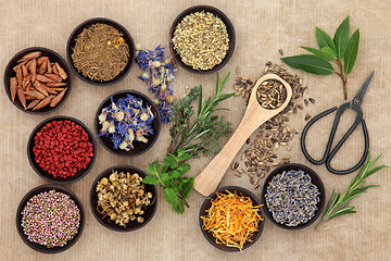 Image showing Herbal Medicine