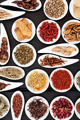 Image showing Herbal Medicine Ingredients