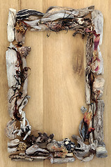 Image showing Seaweed and Driftwood Border