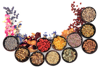 Image showing Herbal Medicine