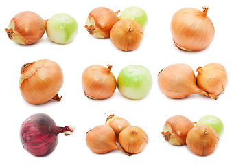 Image showing Onion