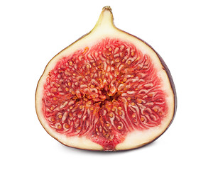 Image showing Fig