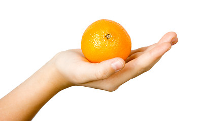 Image showing tangerine on the palm of the child