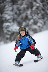 Image showing Little ski girl