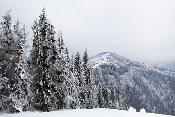 Image showing Winter landscape