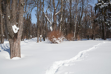 Image showing City park in winter